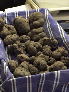 Norcia truffle