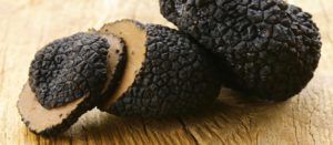 Black winter truffle