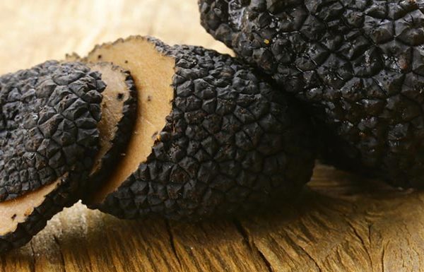 black winter truffle